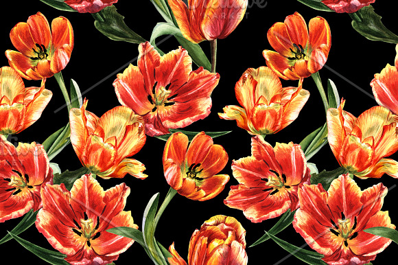 Tulip red PNG watercolor flower set in Illustrations - product preview 4