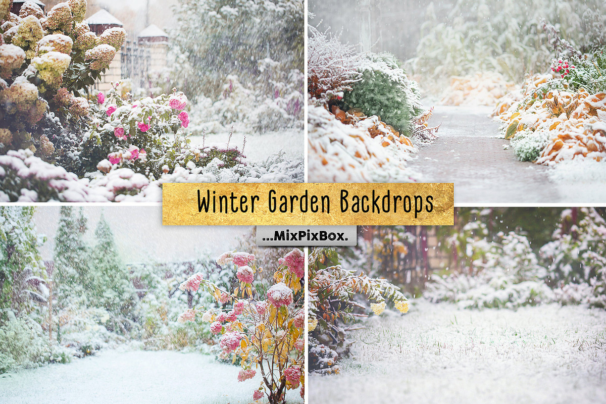 Winter Garden Backdrops in Add-Ons - product preview 8