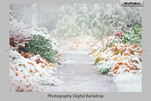 Winter Garden Backdrops in Add-Ons - product preview 1