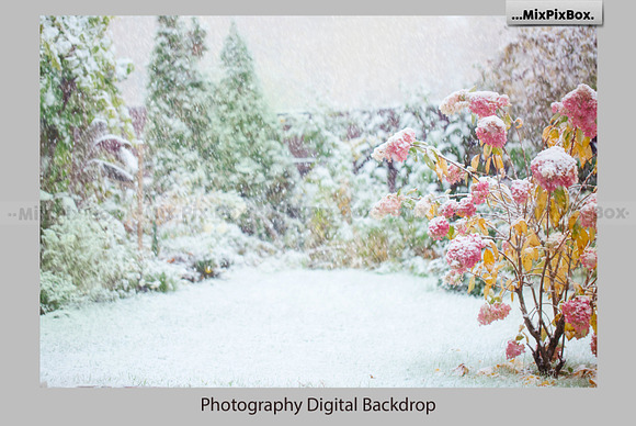 Winter Garden Backdrops in Add-Ons - product preview 2