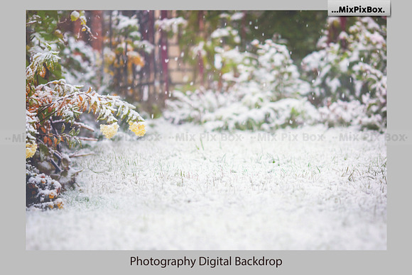 Winter Garden Backdrops in Add-Ons - product preview 3