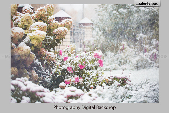 Winter Garden Backdrops in Add-Ons - product preview 4