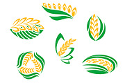 Symbols of cereal plants