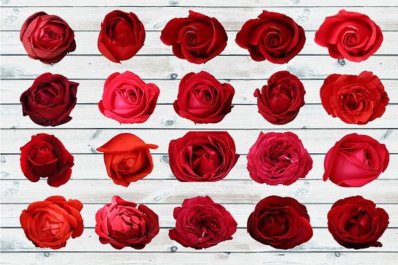 Real red rose floral clipart PNG in Objects - product preview 8