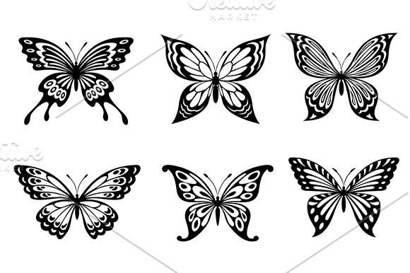 Beautiful butterflies | Creative Daddy