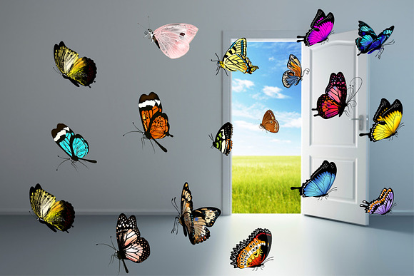 150 Butterflies Photo Overlays in Objects - product preview 1