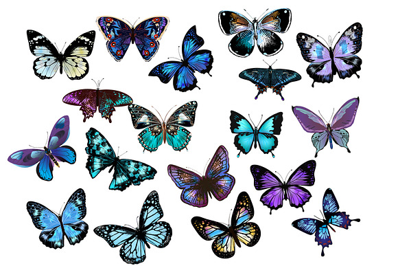 150 Butterflies Photo Overlays in Objects - product preview 2