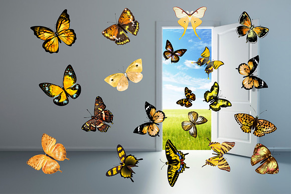 150 Butterflies Photo Overlays in Objects - product preview 3