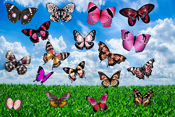 150 Butterflies Photo Overlays in Objects - product preview 5
