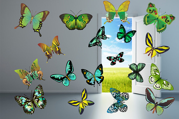 150 Butterflies Photo Overlays in Objects - product preview 7