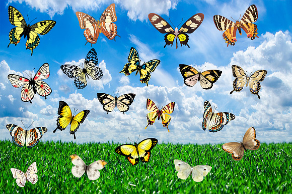 150 Butterflies Photo Overlays in Objects - product preview 8