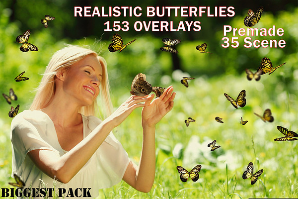 150 Butterflies Photo Overlays PNG
