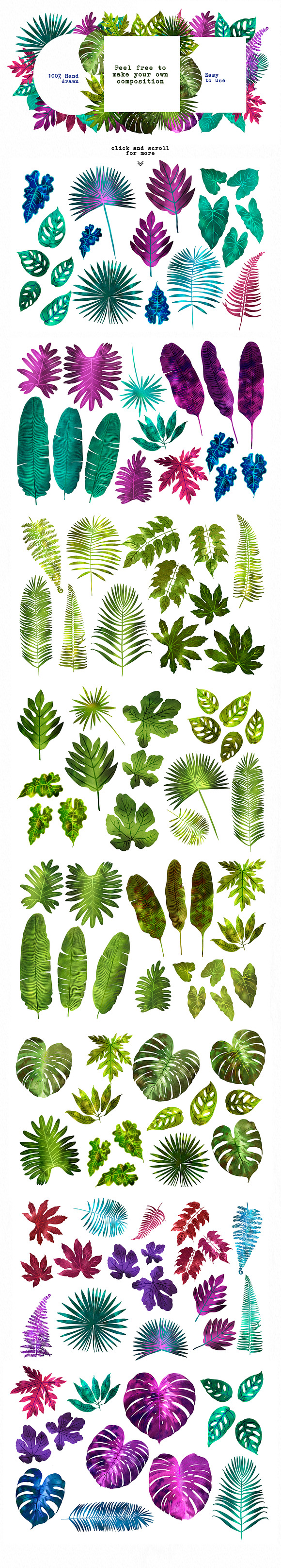 Tropical leaves in Illustrations - product preview 3
