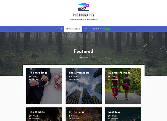 Attire - Photography/Portfolio Theme in WordPress Photography Themes - product preview 2