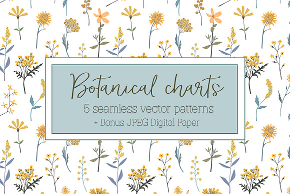 "Botanical Charts" seamless patterns in Patterns - product preview 5