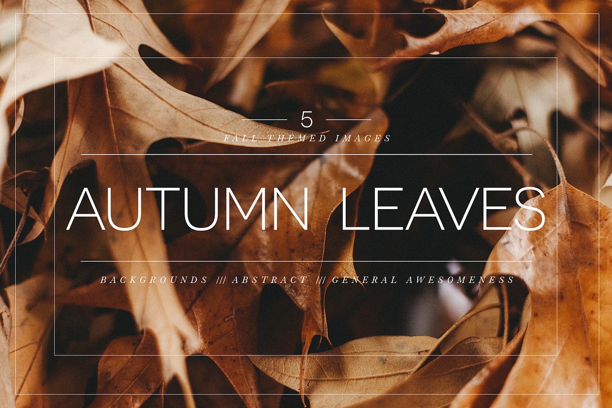 Autumn Leaves Collection in Objects - product preview 8