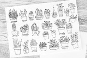 Vector sketches of flowers in pots