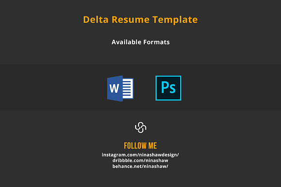 Delta Resume Template in Resume Templates - product preview 8