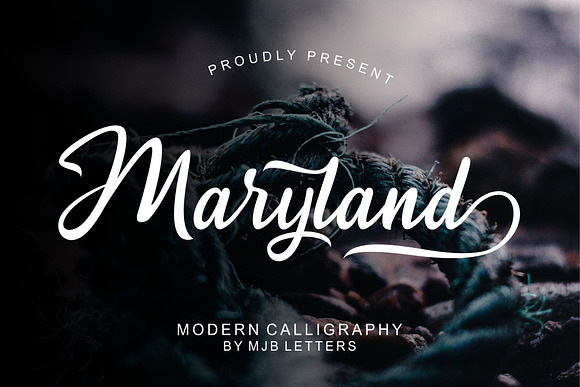 Maryland Calligraphy in Display Fonts - product preview 11