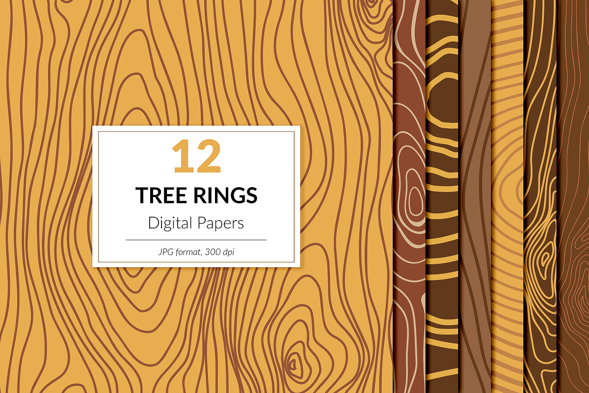Tree Rings Digital Paper in Graphics - product preview 8