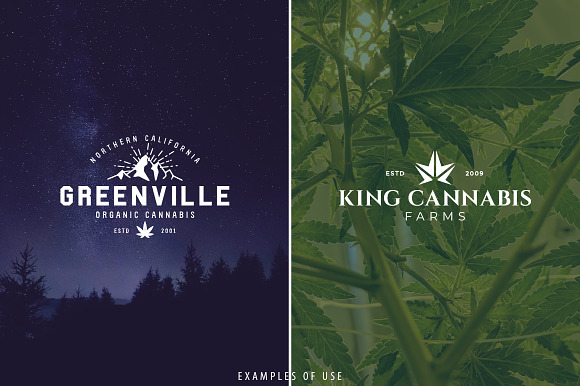 9 Modern Vintage Cannabis Logos VI in Logo Templates - product preview 5