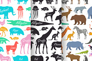 Pattern with Animal, Zoo
