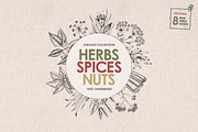 Herbs, Spices, Nuts. Hand drawn set.