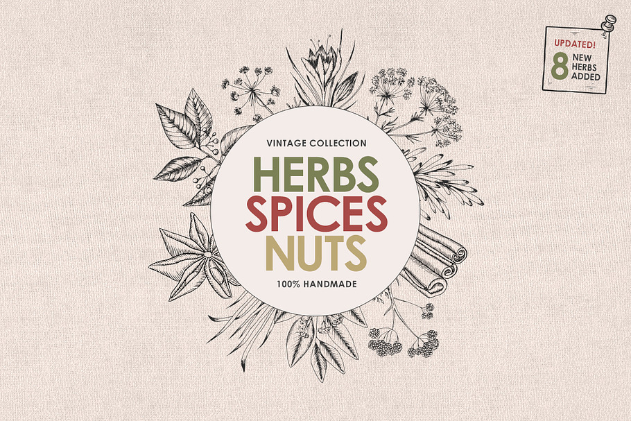 Herbs, Spices, Nuts. Hand drawn set. in Illustrations - product preview 8