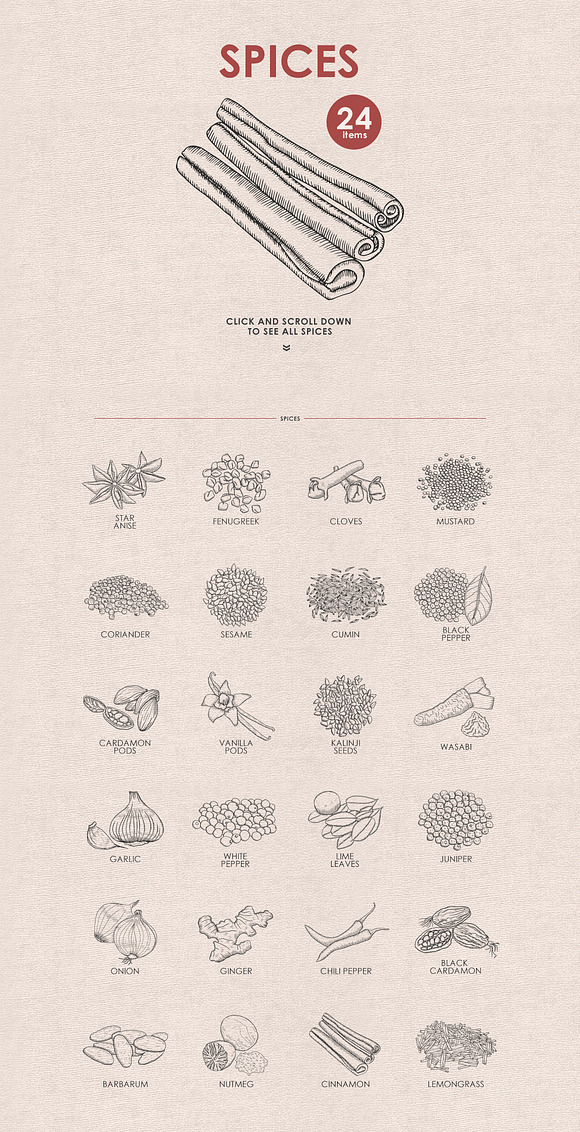 Herbs, Spices, Nuts. Hand drawn set. in Illustrations - product preview 2