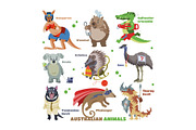 Australian animals vector cartoon