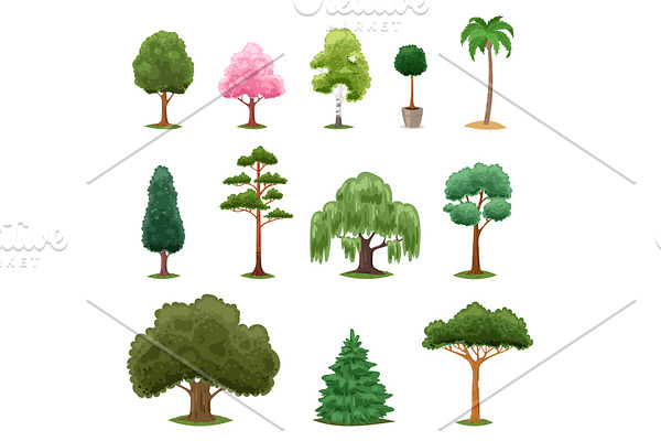 Tree types vector green forest pine