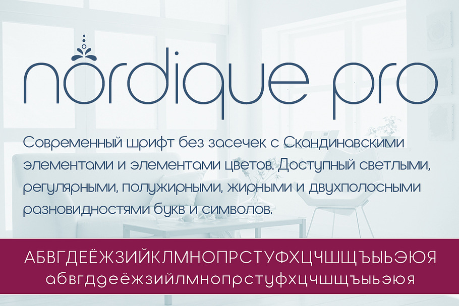 Nordique Pro Cyrillic Collection in Sans-Serif Fonts - product preview 8