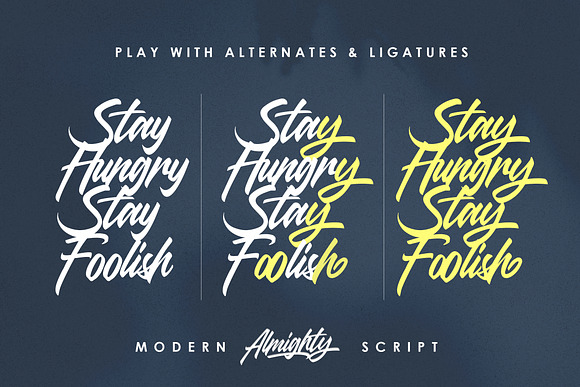 Almighty Modern Script in Script Fonts - product preview 6