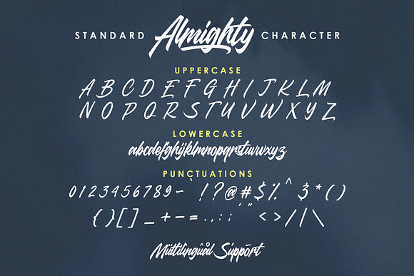 Almighty Modern Script in Script Fonts - product preview 10