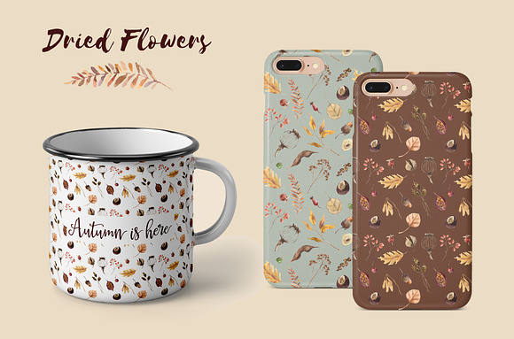 Watercolor dried flowers set in Illustrations - product preview 3