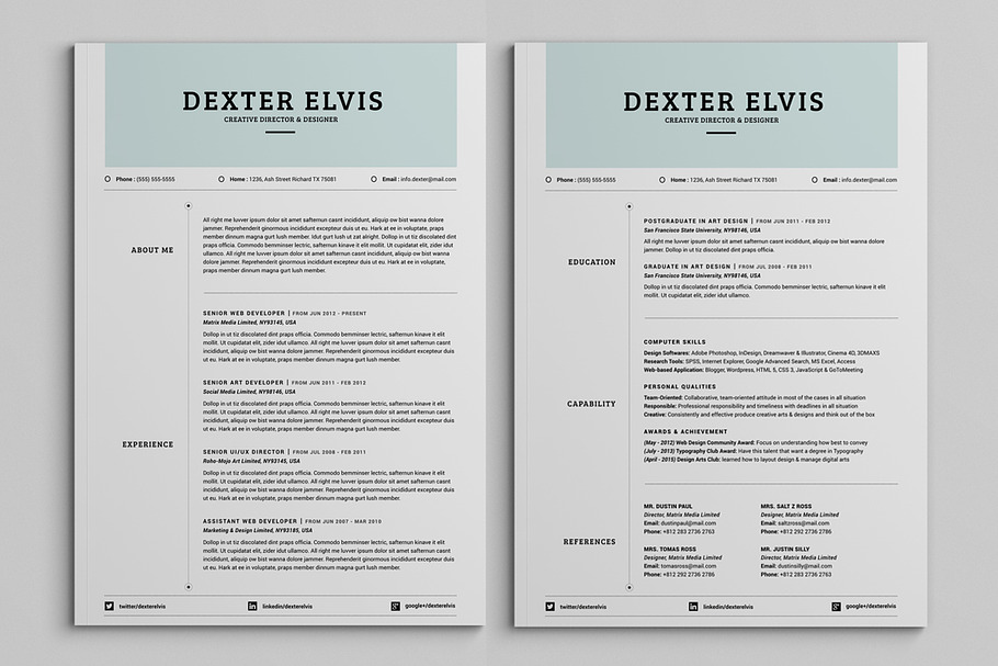 Best Sellers 2 Pages Powerful Resume in Letter Templates - product preview 8