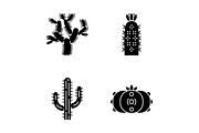 Wild cacti glyph icons set