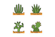 Wild cacti in ground color icons set