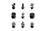 Cactuses in pots glyph icons set