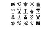 Desert plants glyph icons set