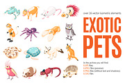 Exotic Pets Isometric Set
