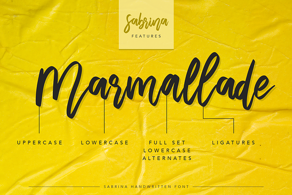Sabrina Handwritten Font in Display Fonts - product preview 6