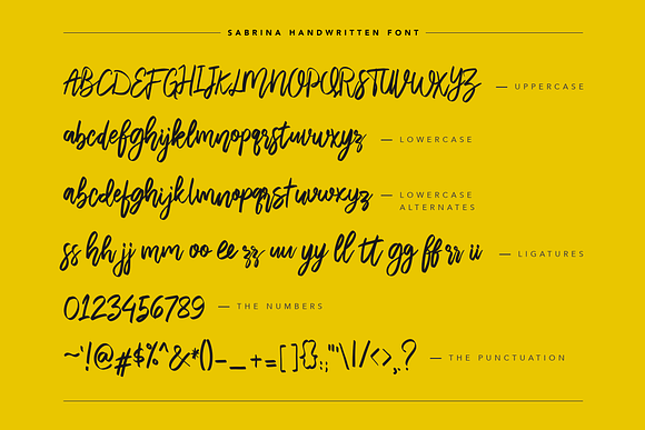 Sabrina Handwritten Font in Display Fonts - product preview 7