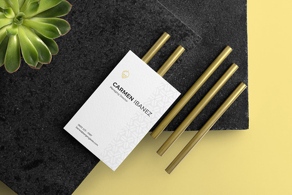 BG Branding Bundle in Stationery Templates - product preview 2