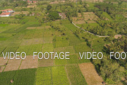 agricultural land in indonesia