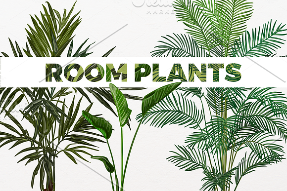 Hand drawn vector room plants in Illustrations - product preview 10