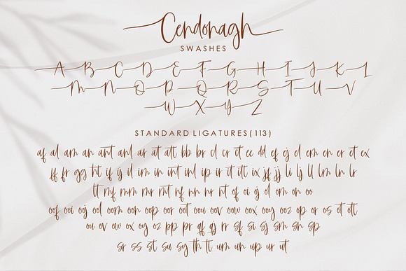 Cendonagh | Modern Script in Script Fonts - product preview 9