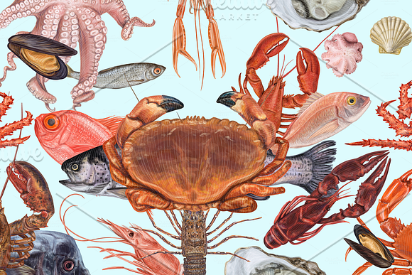 Yummy seafood illustrations in Illustrations - product preview 16
