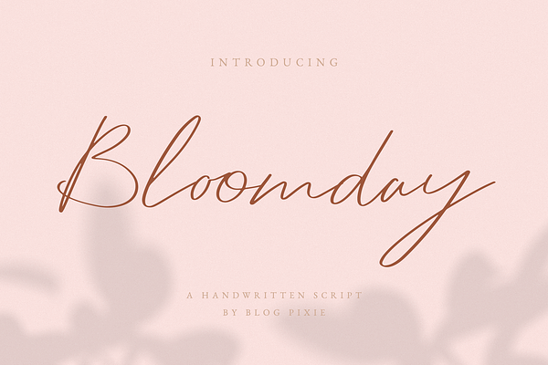 Bloomday Script Font