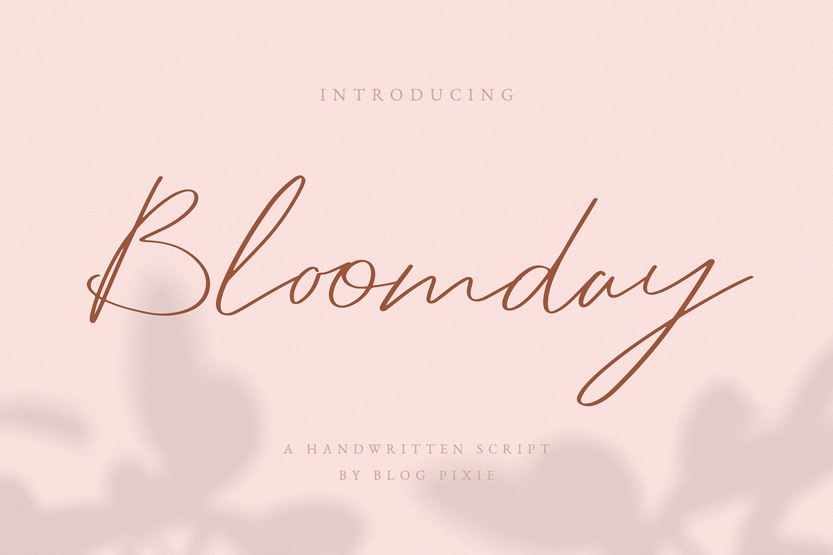 Bloomday Script Font in Script Fonts - product preview 8